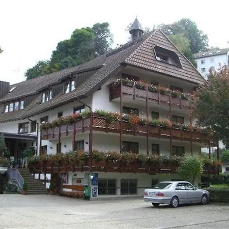 Schwaers Loewen 3* Freiburg im Breisgau